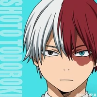 Shoto todoroki