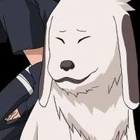 Akamaru