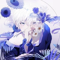 light(MC)