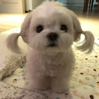 คนสร้างงง🥺