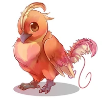 Feng