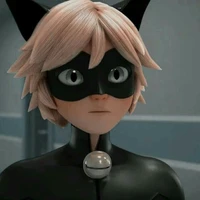 cat noir