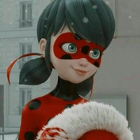 ladybug