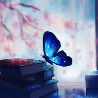 🦋/ Rayleigh
