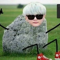 Author (duh, obviously)