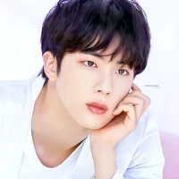 Kim Seokjin