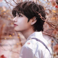 Taehyung {Fan Fic}