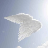 angels
