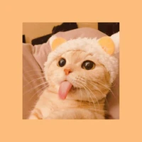ผู้ช่วยแอด