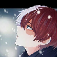 Todoroki