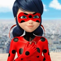 Ladybug 