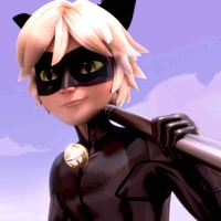 Cat noir