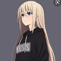 Y/N
