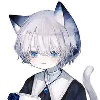 system/kitty