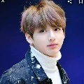 Jeon Jeongguk(Jungkook)