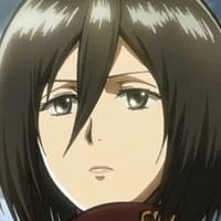 Mikasa