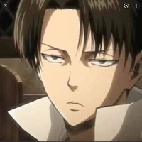 Levi