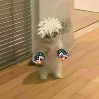 Bakugo (gato)