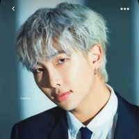 Namjoon/Jin