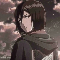 mikasa
