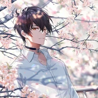 Nolan(ML