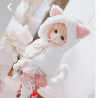 Adira Windsor /elrod fl