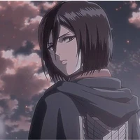 mikasa