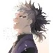Shinazugawa genya