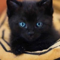luna