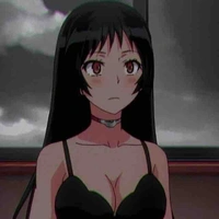 Y/N