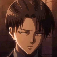 Levi
