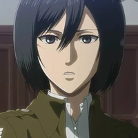 mikasa