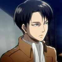 levi