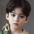 FALCOUS KECIL