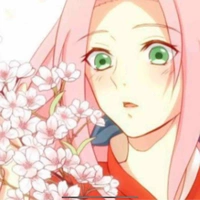 ซากุระ(ม.4)