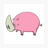pig