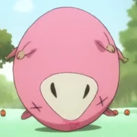 pig