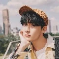 hobi