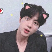 Jin ( Panda Nini )