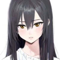 Y/N