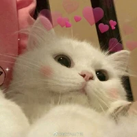 แอด