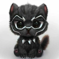 black /fl assistant /spirit beast