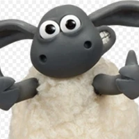 timmy