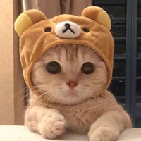 คูเปอร์ ^ สัตว์เลี้ยงนางเอก