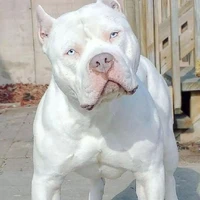 Demônio