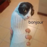 bonjo