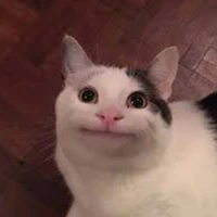 hi