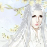 Zen Wisteria/ji chen(ml)