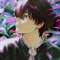Dark Rose