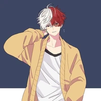Todoroki(A)
